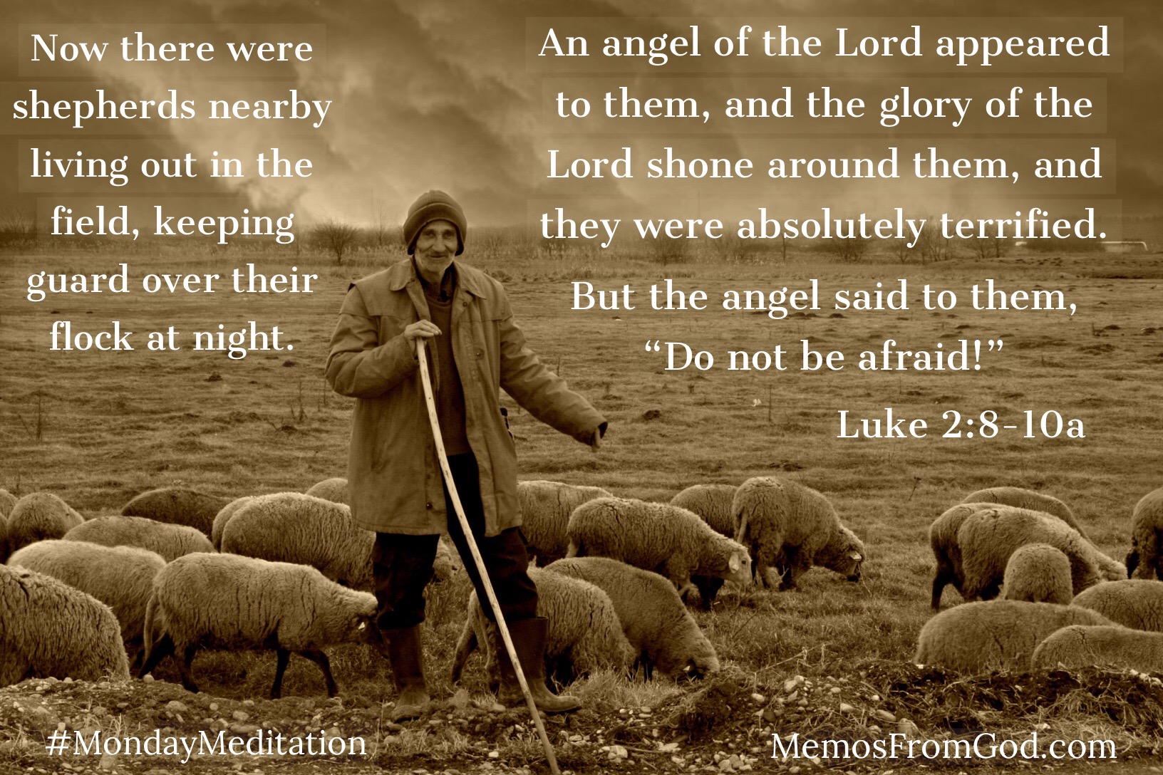 Now there were shepherds nearby living out in the field, keeping guard over their flock at night. An angel of the Lord appeared to them, and the glory of the Lord shone around them, and they were absolutely terrified. But the angel said to them, “Do not be afraid!” Luke 2:8-10a