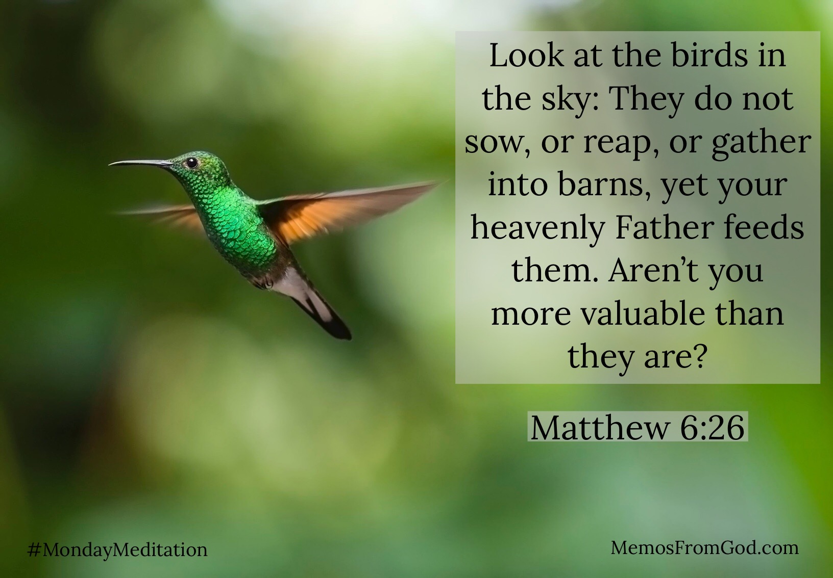 Look at the birds in the sky: They do not sow, or reap, or gather into barns, yet your heavenly Father feeds them. Aren’t you more valuable than they are? Matthew 6:26