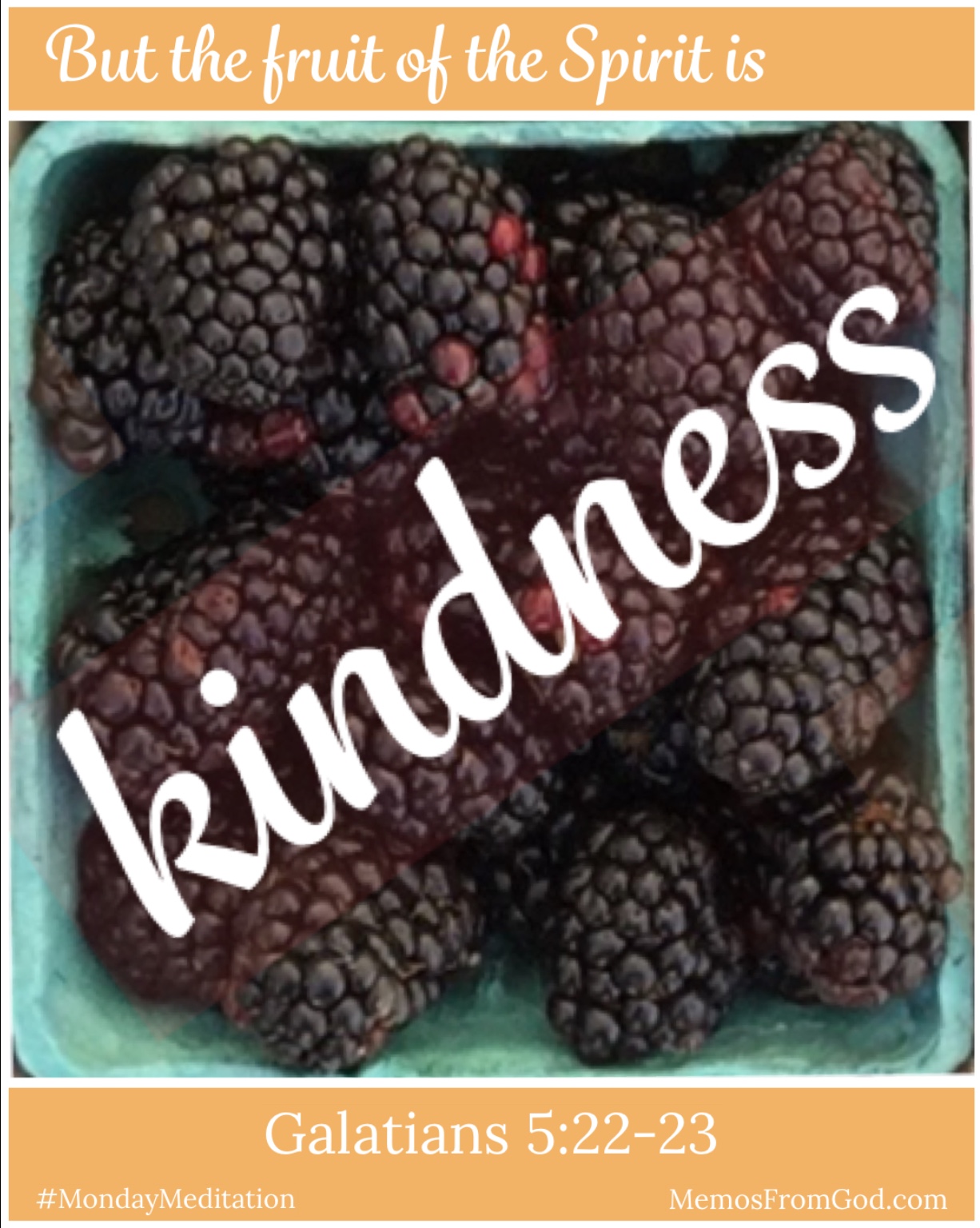 The top view of a pint box of blackberries. Caption: But the fruit of the Spirit is kindness. Galatians 5:22-23