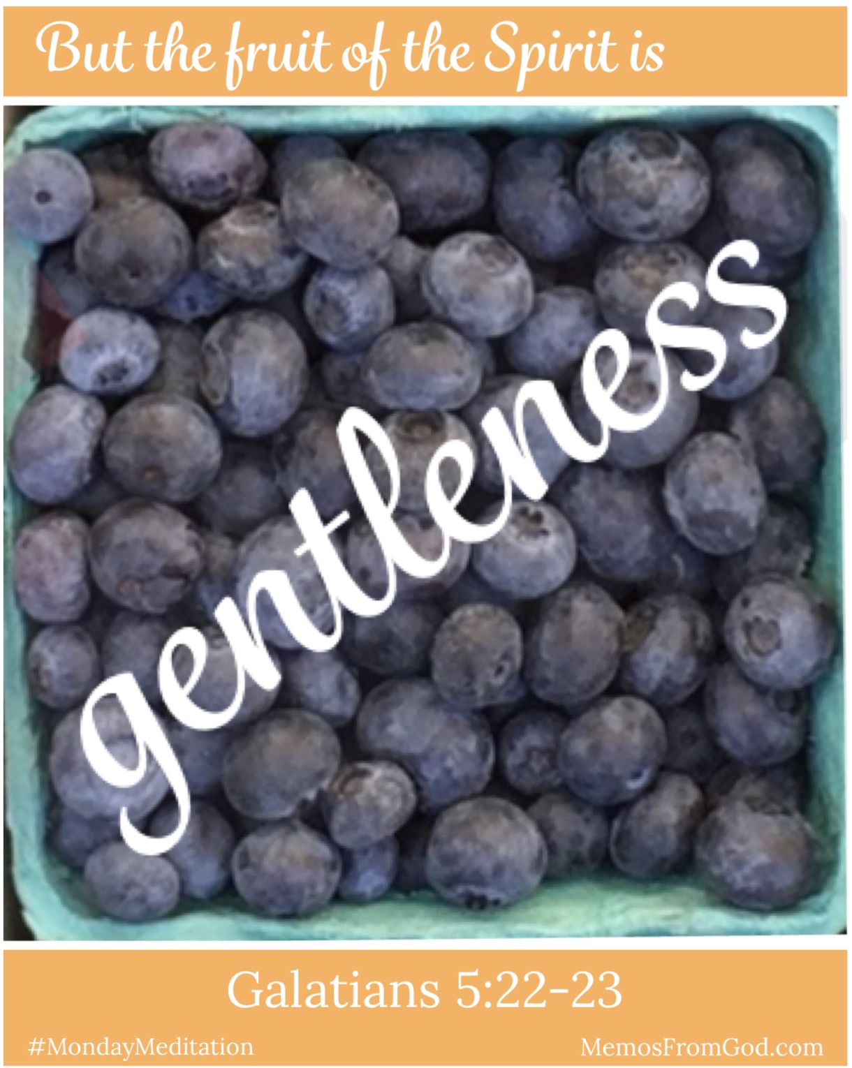 The top view of a pint box of blueberries. Caption: But the fruit of the Spirit is gentleness. Galatians 5:22-23