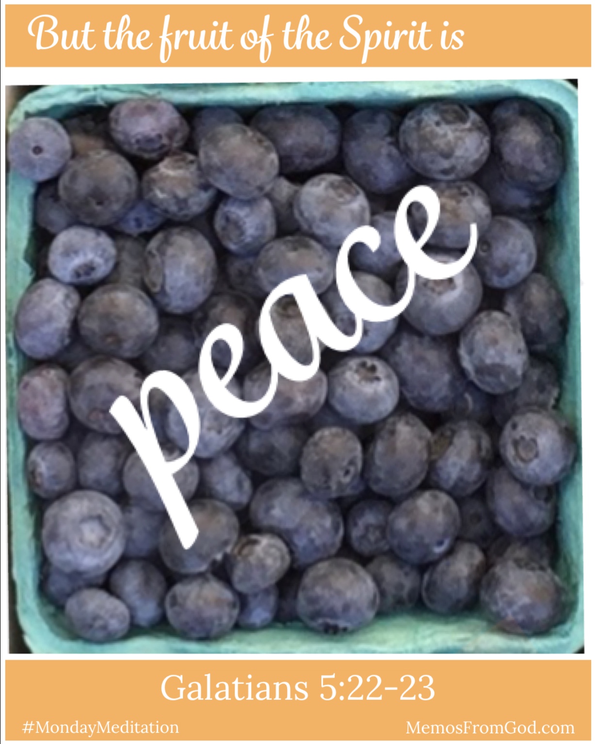 The top view of a pint box of blueberries. Caption: But the fruit of the Spirit is peace. Galatians 5:22-23