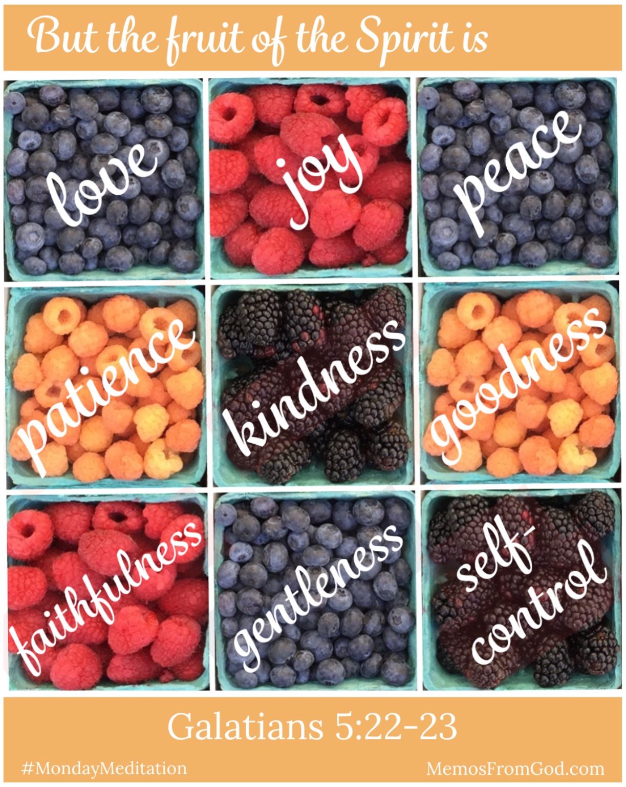 The top view of nine pint boxes of berries, including blueberries, blackberries, red raspberries and golden raspberries. Caption: But the fruit of the Spirit is love, joy, peace, patience, kindness, goodness, faithfulness, gentleness, and self-control. Galatians 5:22-23