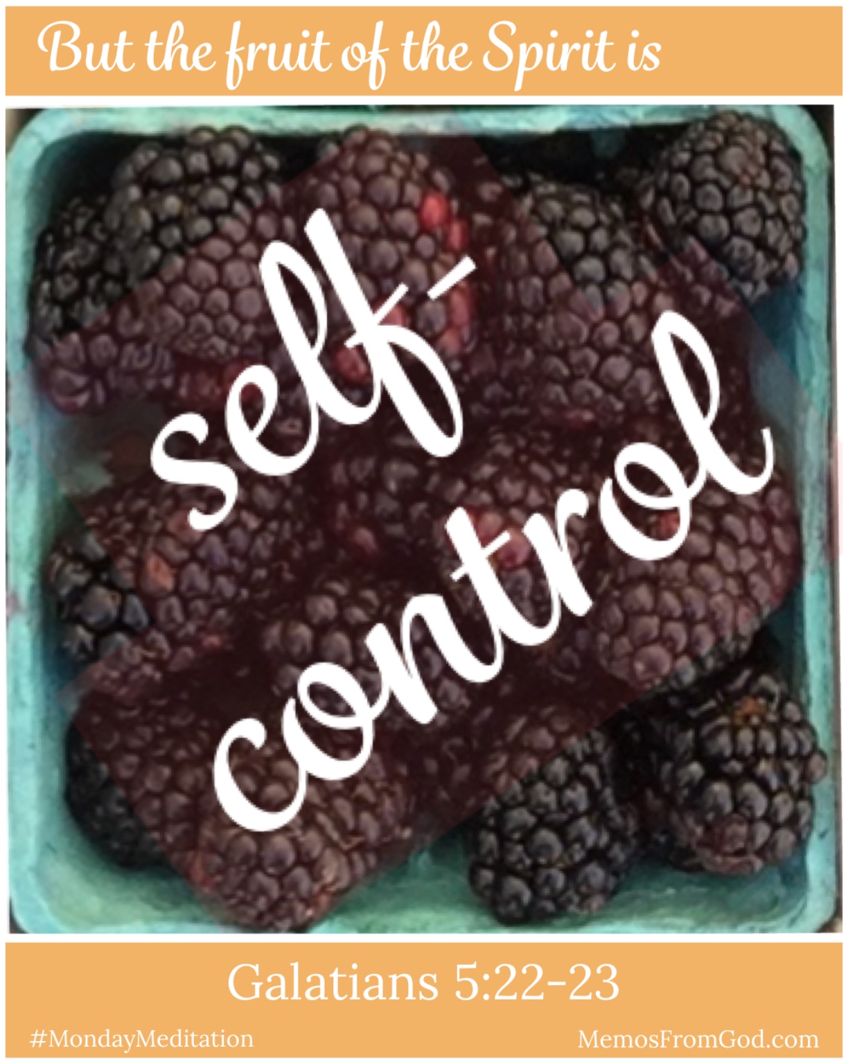 Image result for THE FRUIT OF SELF-CONTROL"