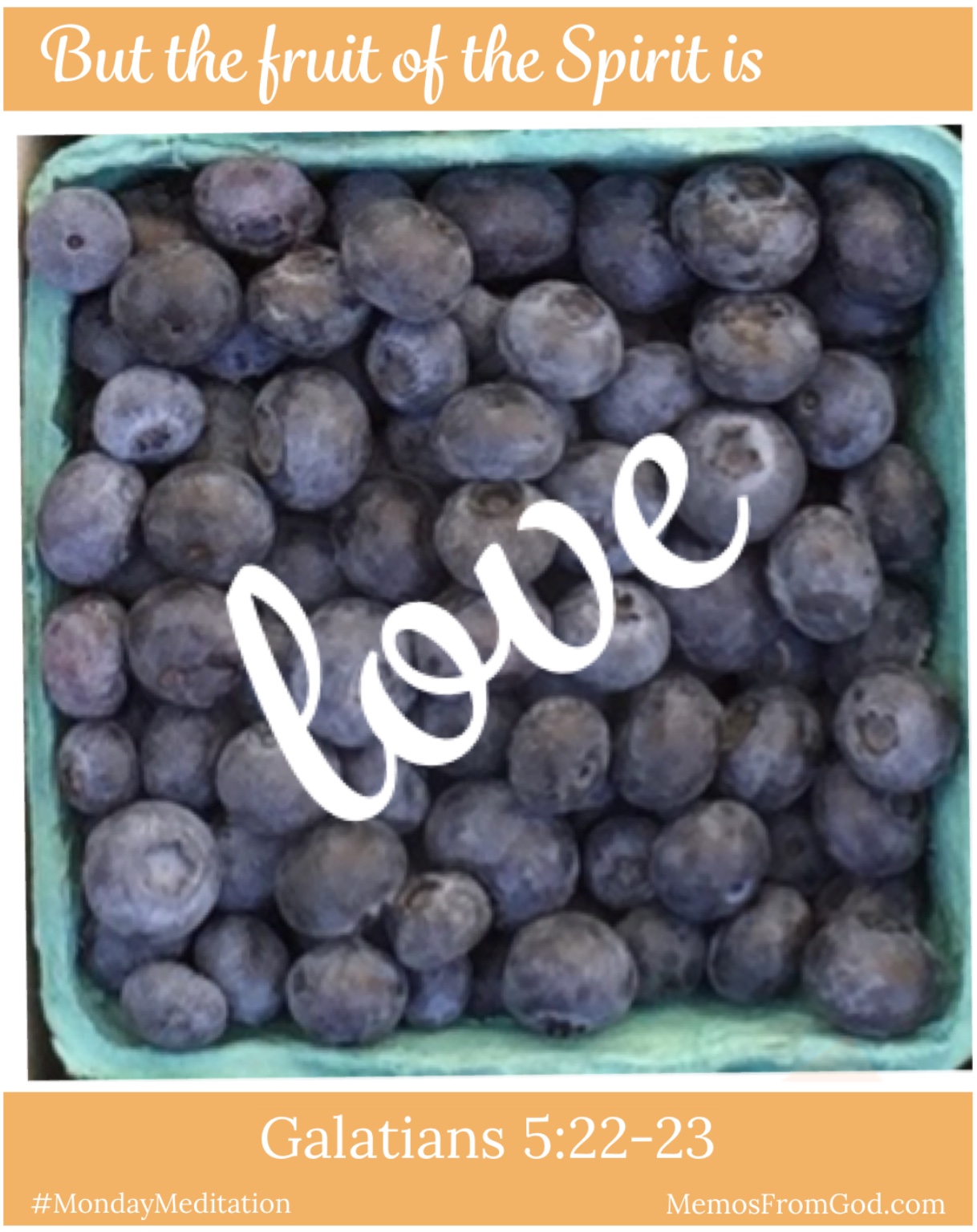 The top view of a pint box of blueberries. Caption: But the fruit of the Spirit is love. Galatians 5:22-23