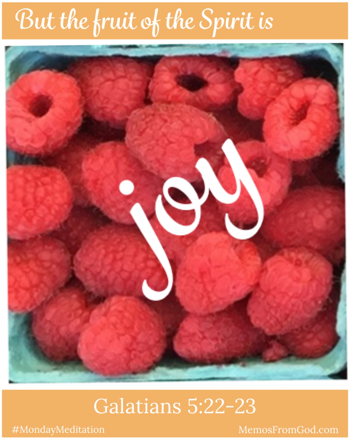 The top view of a pint box of red raspberries. Caption: But the fruit of the Spirit is joy. Galatians 5:22-23