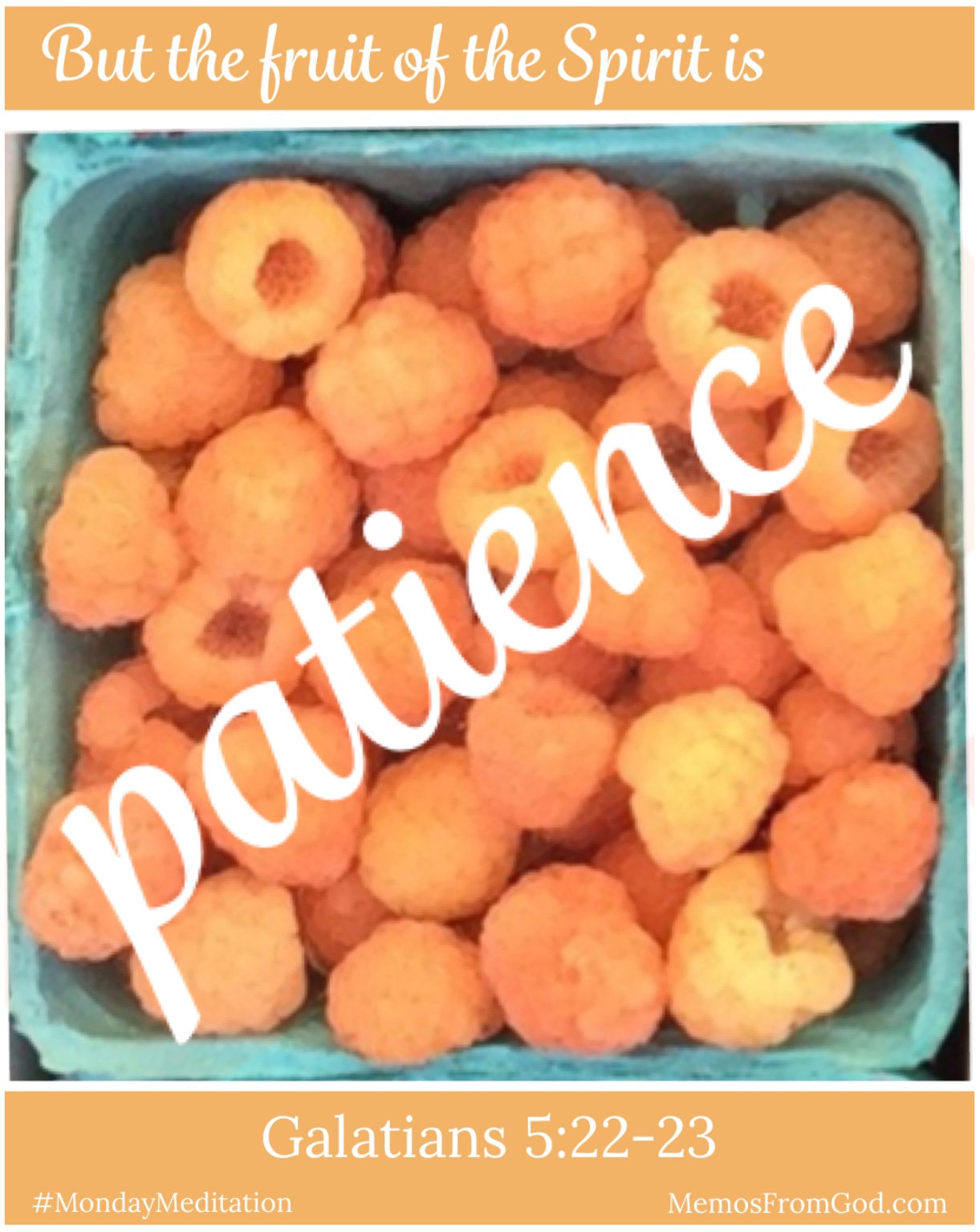 The top view of a pint box of golden raspberries. Caption: But the fruit of the Spirit is patience. Galatians 5:22-23