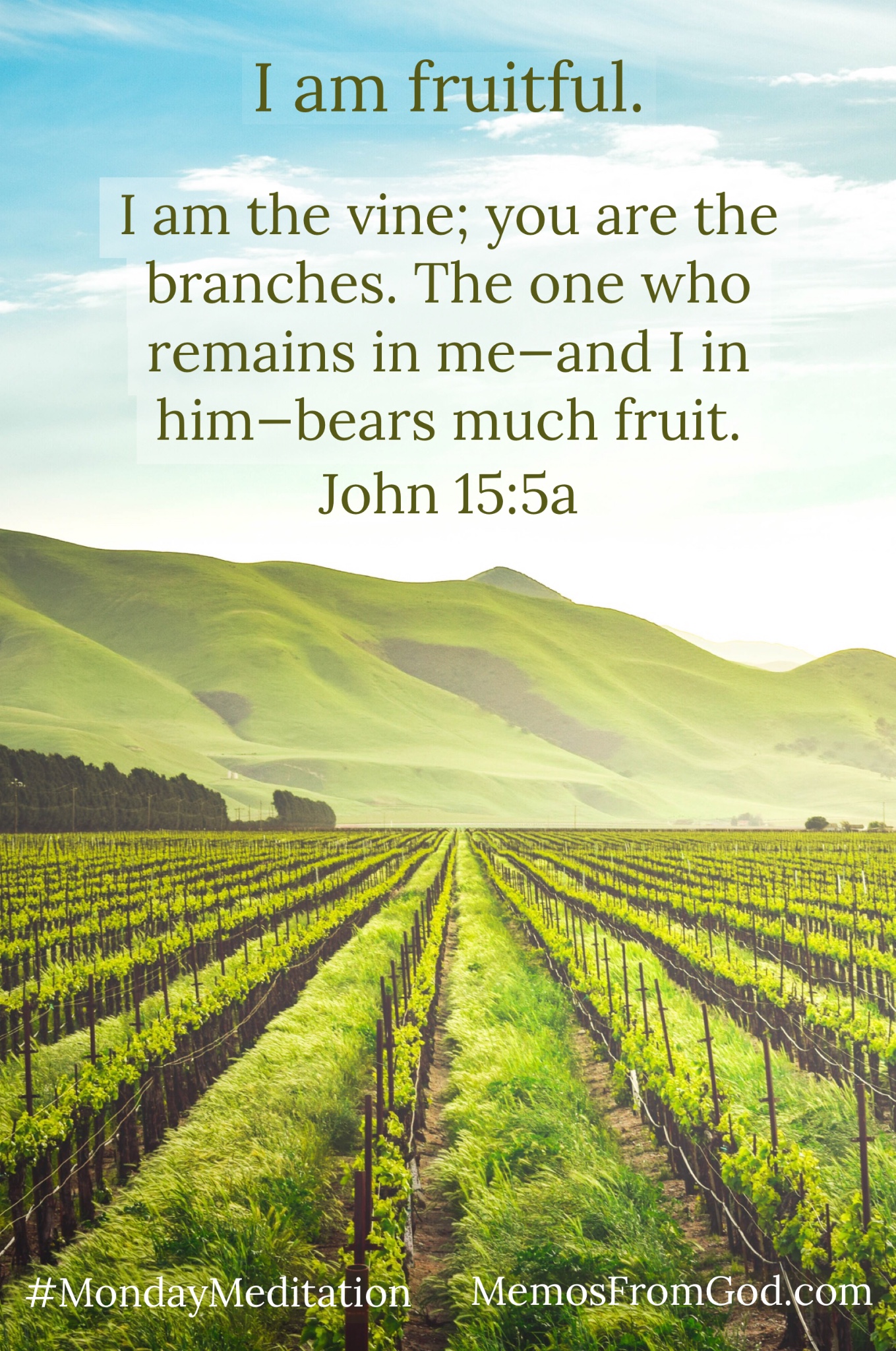 A lush green vineyard with a green mountain and blue sky in the background. Caption: I am the vine; you are the branches. The one who remains in me—and I in him—bears much fruit. John 15:15a