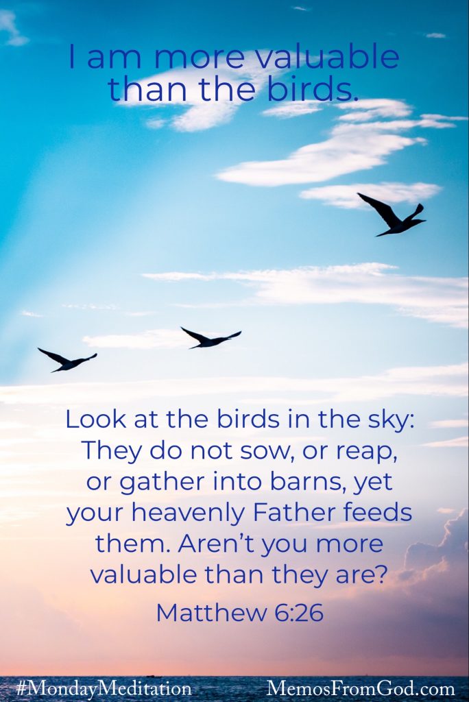 I Am More Valuable Than The Birds Memos From God isopups-pets