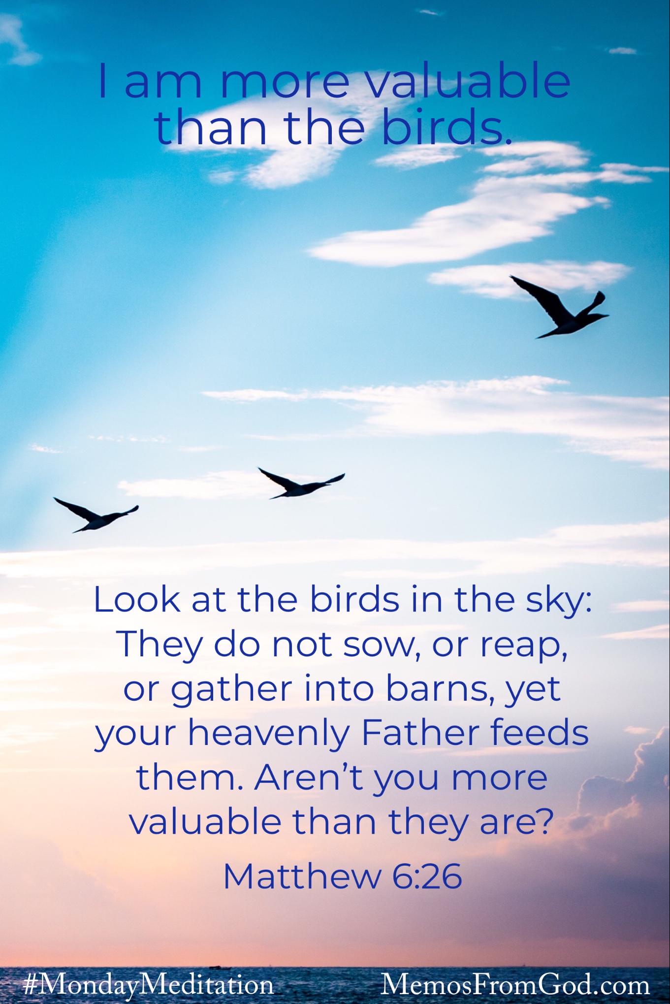 The silhouettes of three large birds flying in a light blue and pink sky. Caption: Look at the birds in the sky: They do not sow, or reap, or gather into barns, yet your heavenly Father feeds them. Aren’t you more valuable than they are? Matthew 6:26