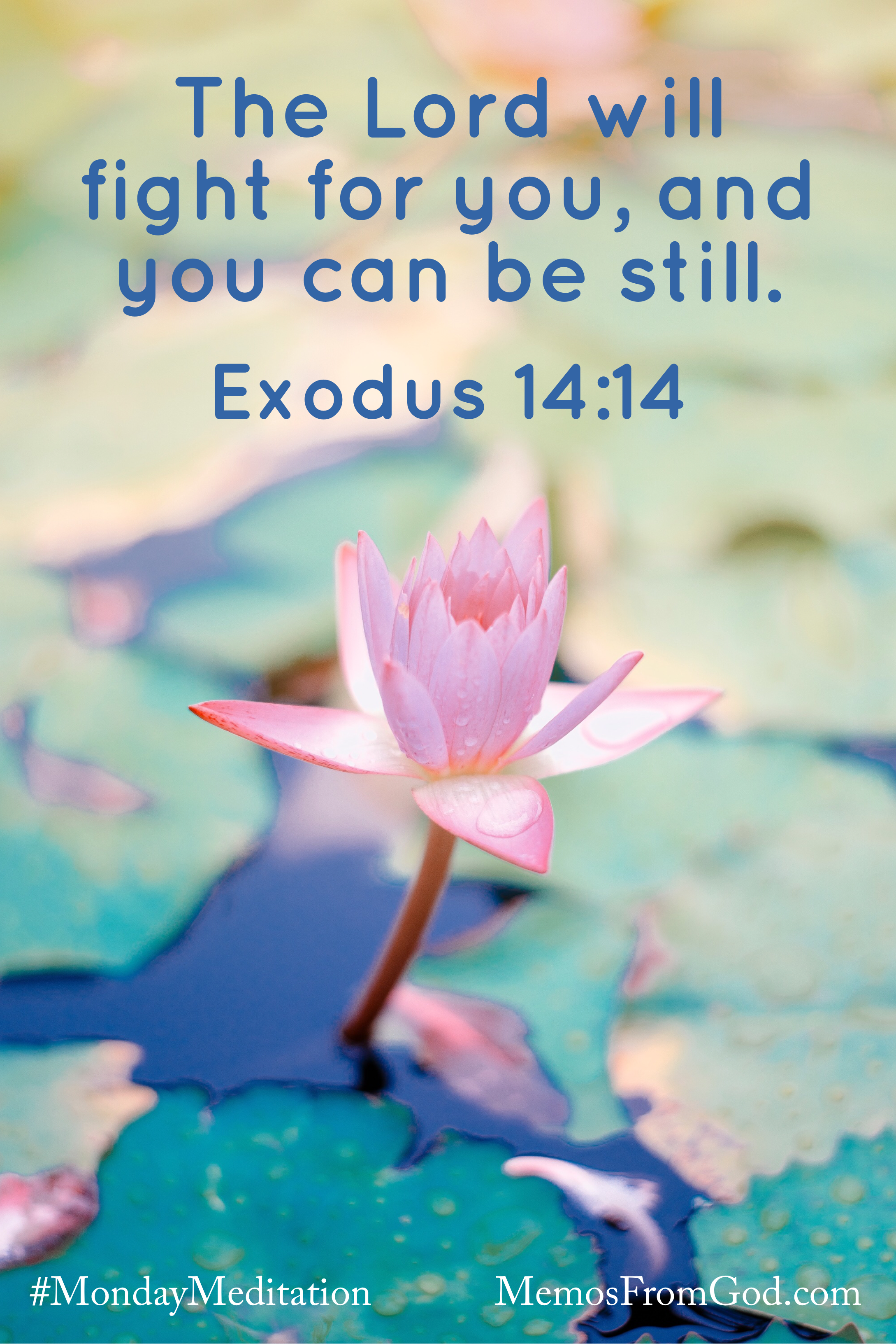 A pink water lily blooming among teal lily pads and deep blue water. Caption: The Lord will fight for you, and you can be still. Exodus 14:14