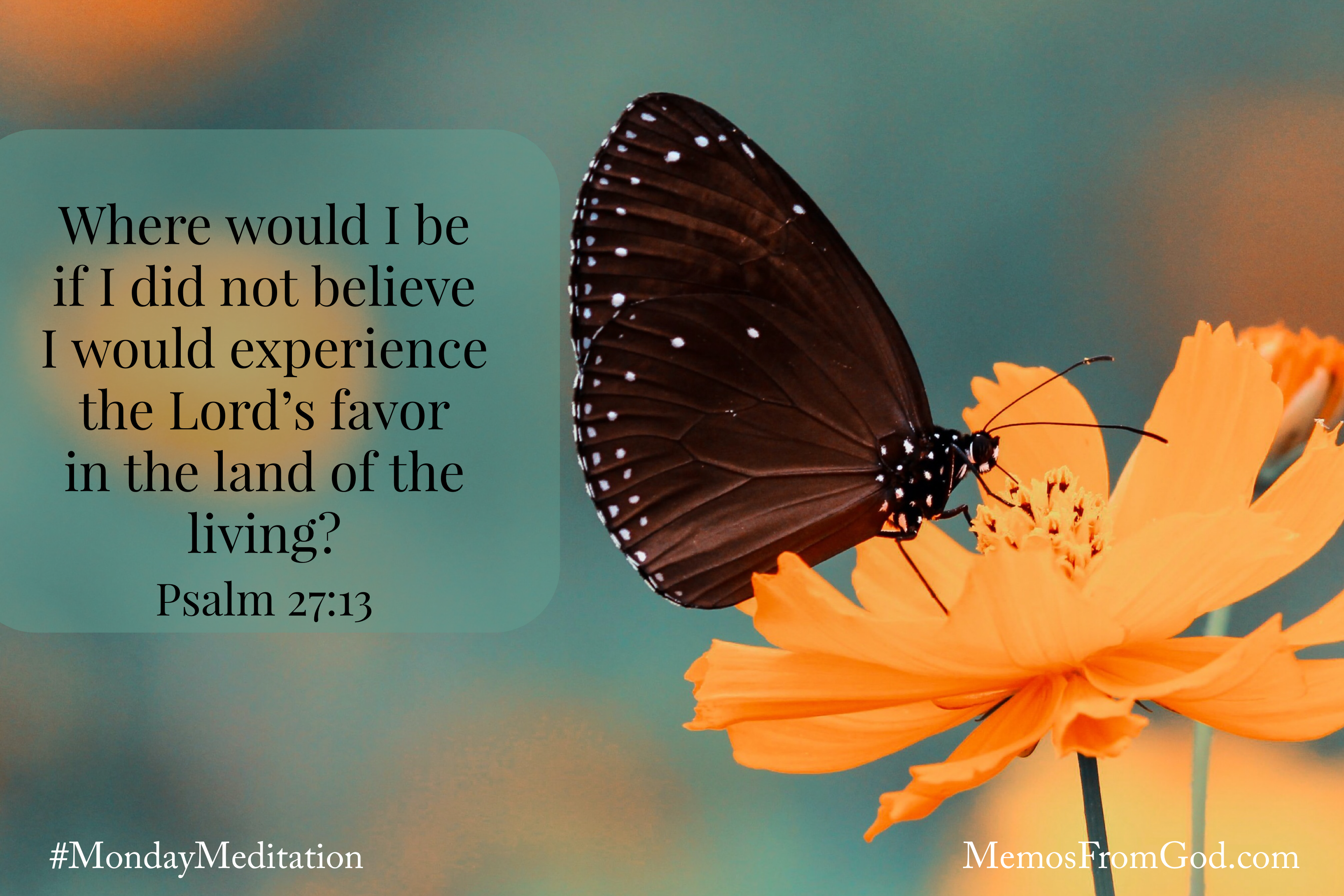 A brown butterfly with white spots on a bright orange flower. Caption: Where would I be if I did not believe I would experience the Lord’s favor in the land of the living? Psalm 27:13