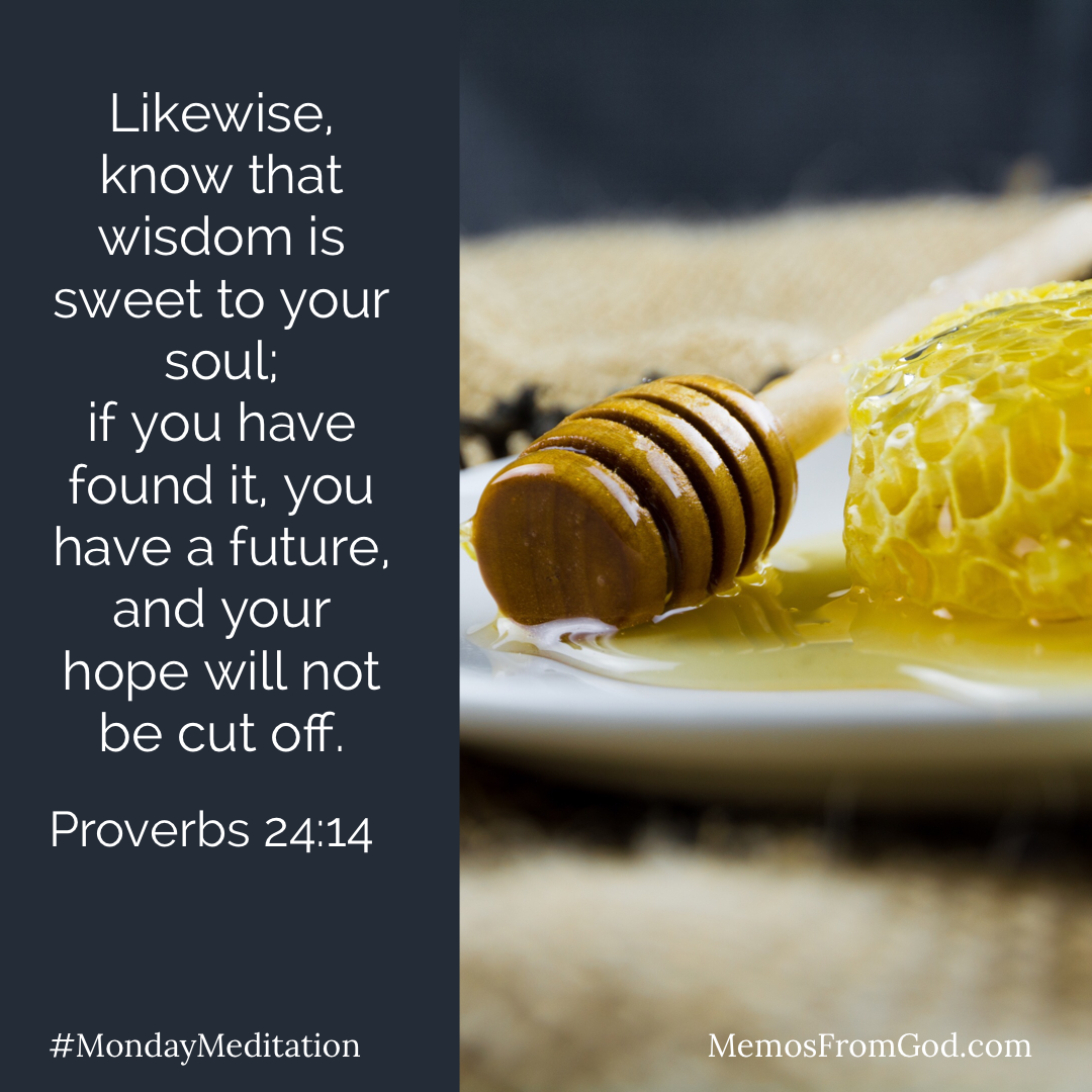 A plate with honeycomb and honey. Caption: Likewise, know that wisdom is sweet to your soul; if you have found it, you have a future, and your hope will not be cut off. Proverbs 24:14