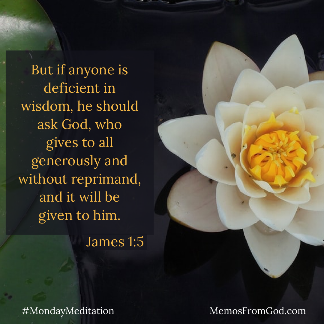 A white water lily with a yellow centre on a dark background. Caption: But if anyone is deficient in wisdom, he should ask God, who gives to all generously and without reprimand, and it will be given to him. James 1:5