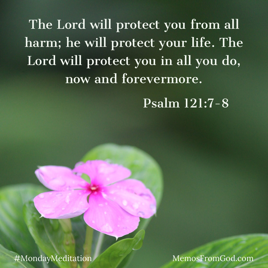 A delicate pink flower sprinkled with water droplets on a dark green background. Caption: The Lord will protect you from all harm; he will protect your life. The Lord will protect you in all you do, now and forevermore. Psalm 121:7-8