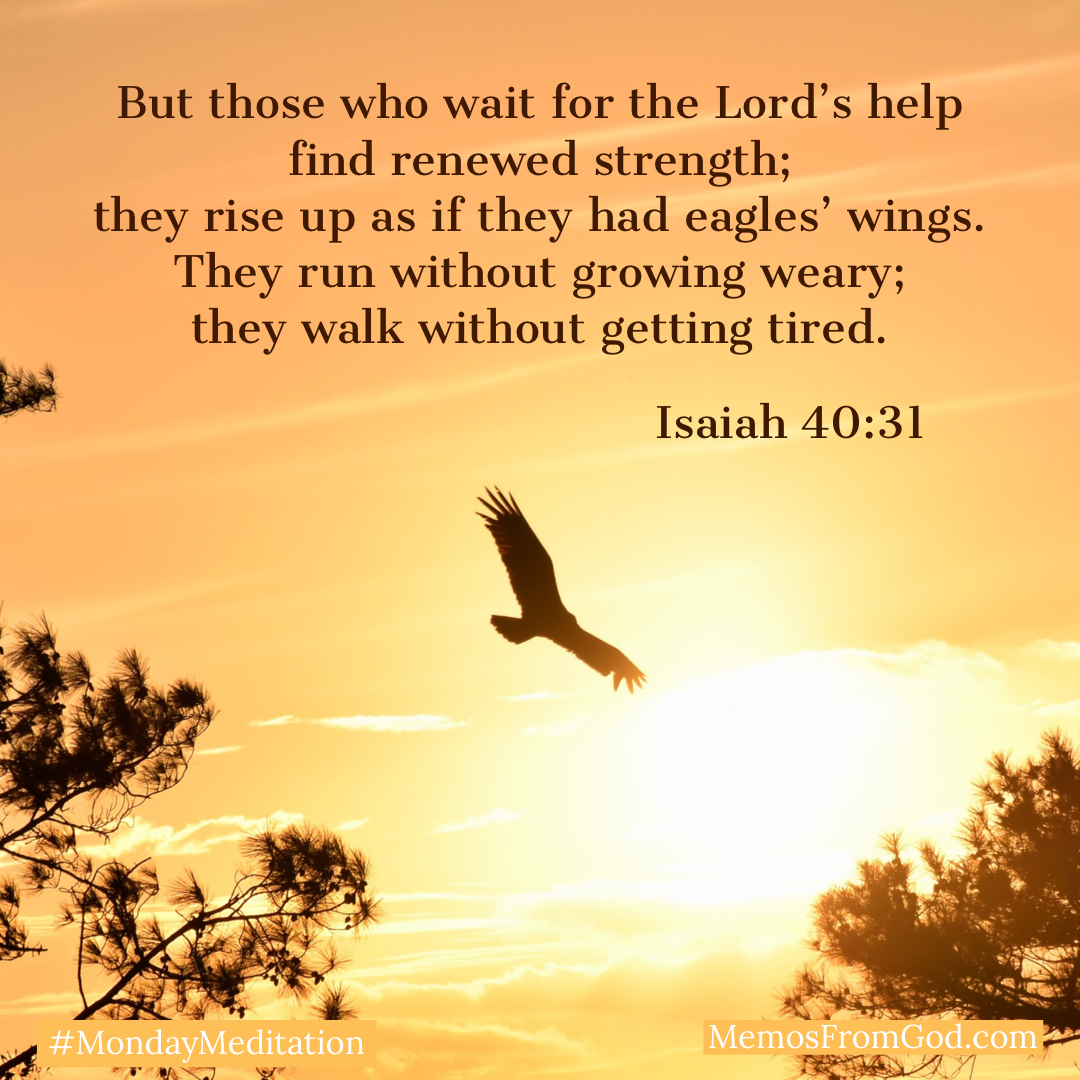 The silhouette of an eagle soaring between two trees against a golden sky. Caption: But those who wait for the Lord’s help find renewed strength; they rise up as if they had eagles’ wings. They run without growing weary; they walk without getting tired. Isaiah 40:31