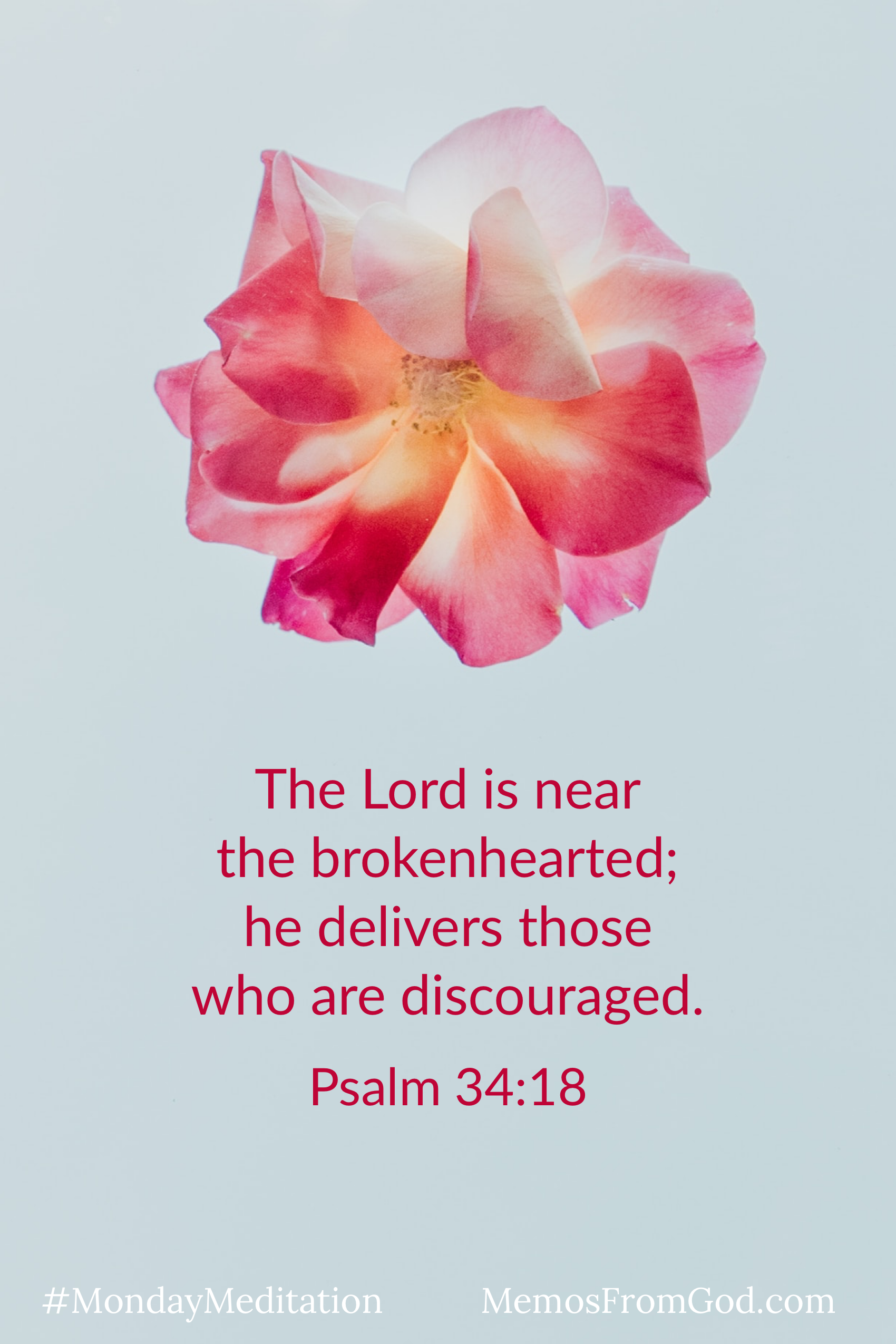 A multi-toned pink flower on a grey background. Caption: The Lord is near the brokenhearted; he delivers those who are discouraged. Psalm 34:18