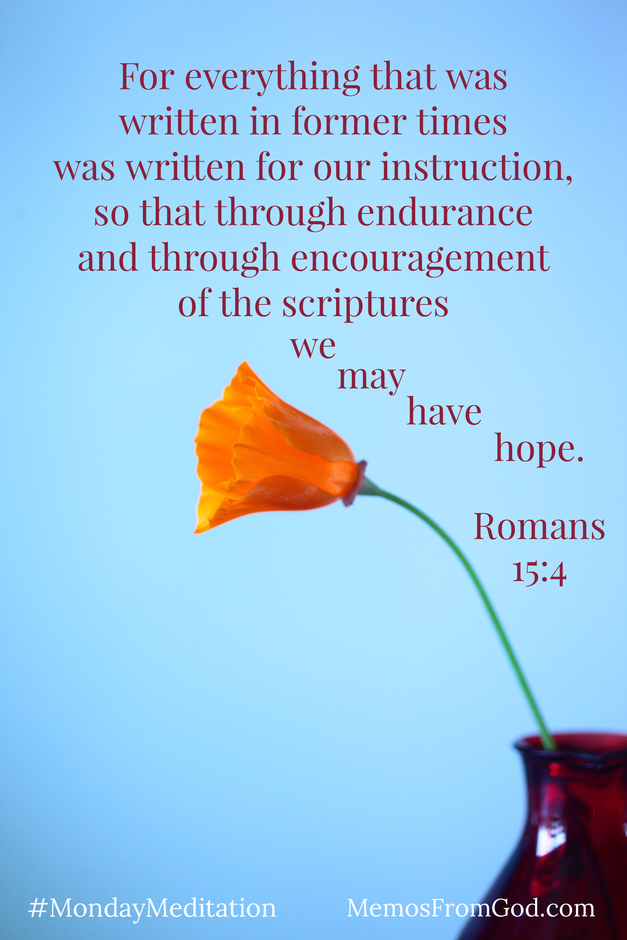 A single, small orange flower in a burgundy vase. Caption: For everything that was written in former times was written for our instruction, so that through endurance and through encouragement of the scriptures we may have hope. Romans 15:4