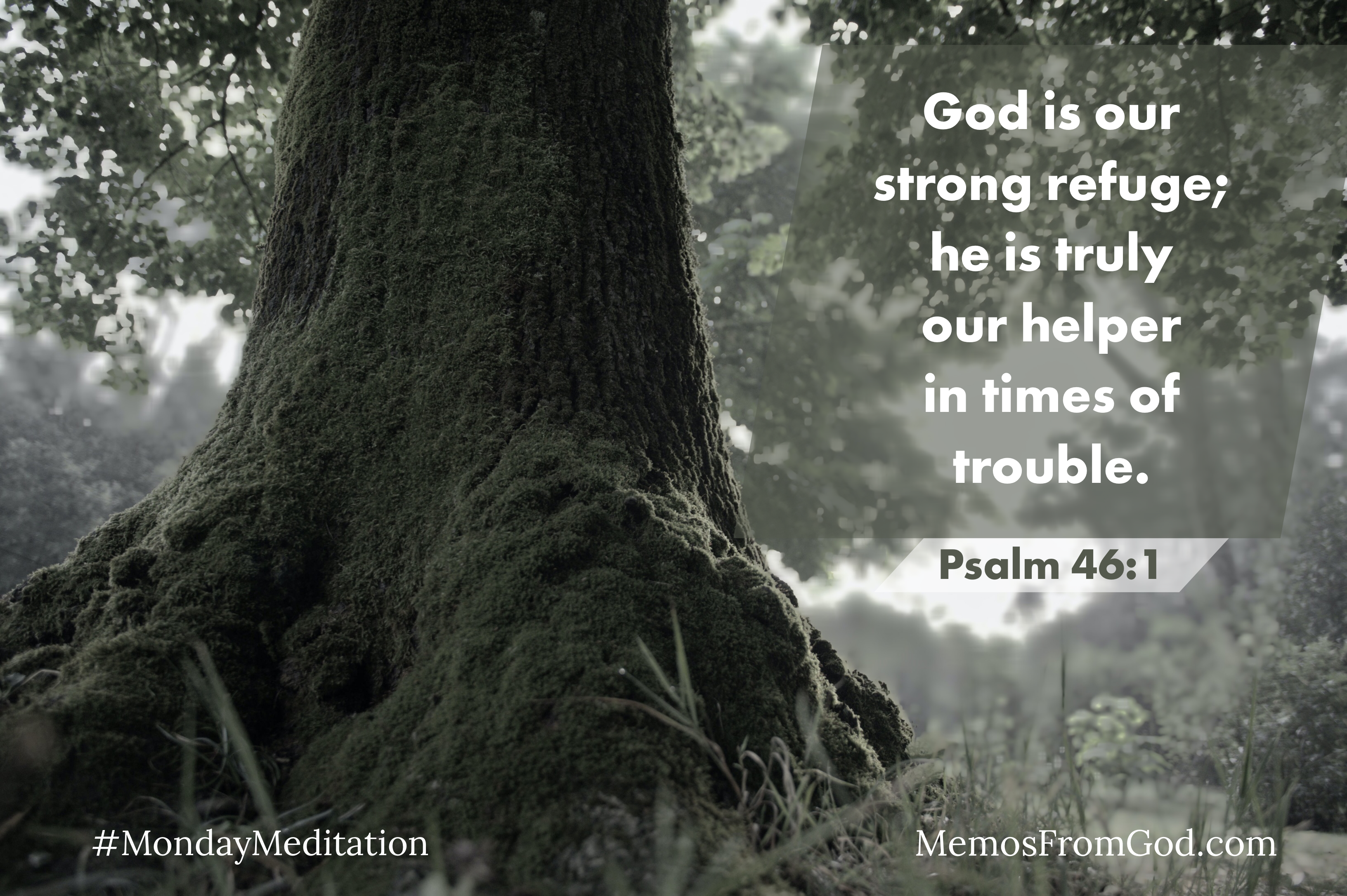 A black and white photo of a large, sturdy tree trunk with more trees in the background. Caption: God is our strong refuge; he is truly our helper in times of trouble. Psalm 46:1