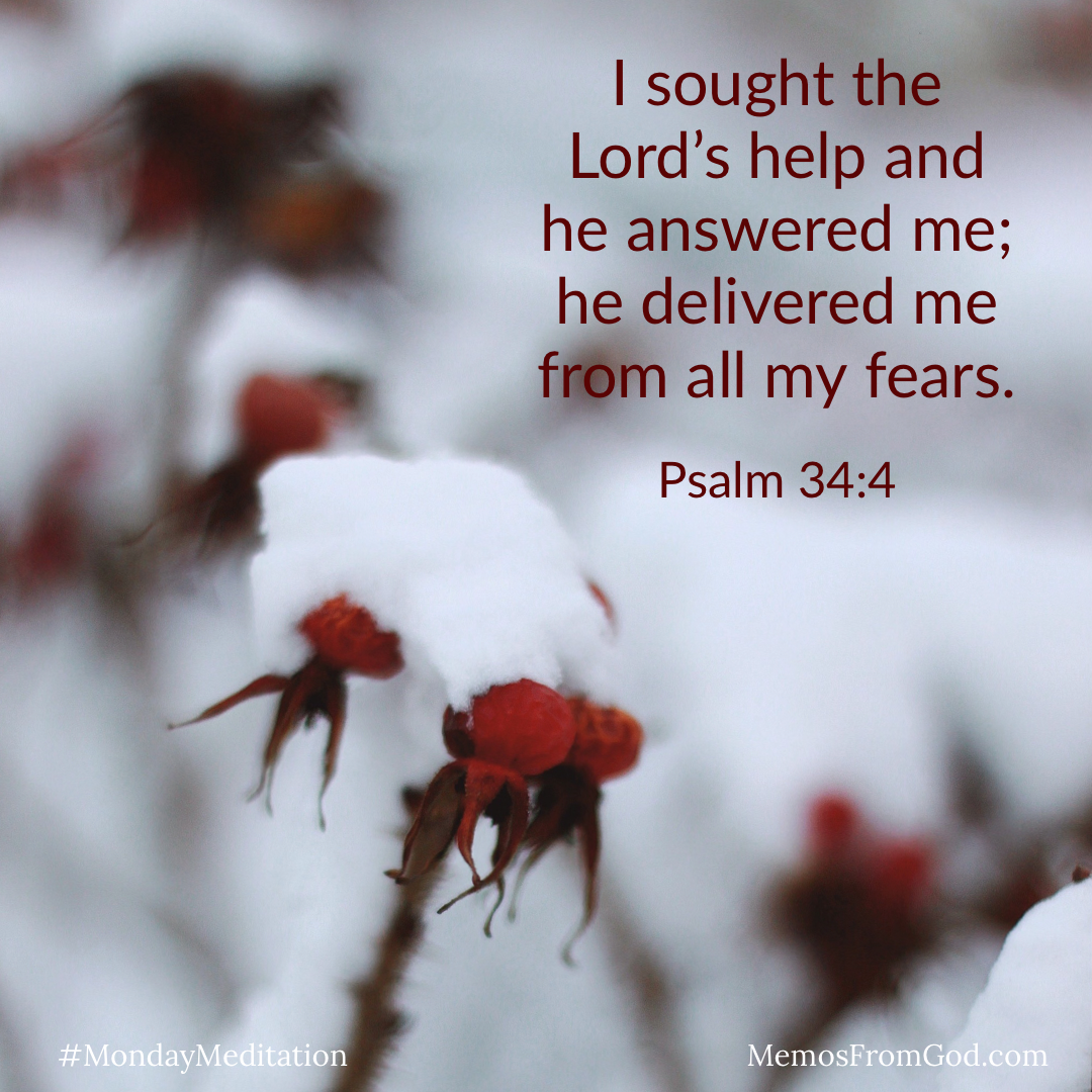 A deep red flower partially covered with snow. Caption: I sought the Lord’s help and he answered me; he delivered me from all my fears. Psalm 34:4
