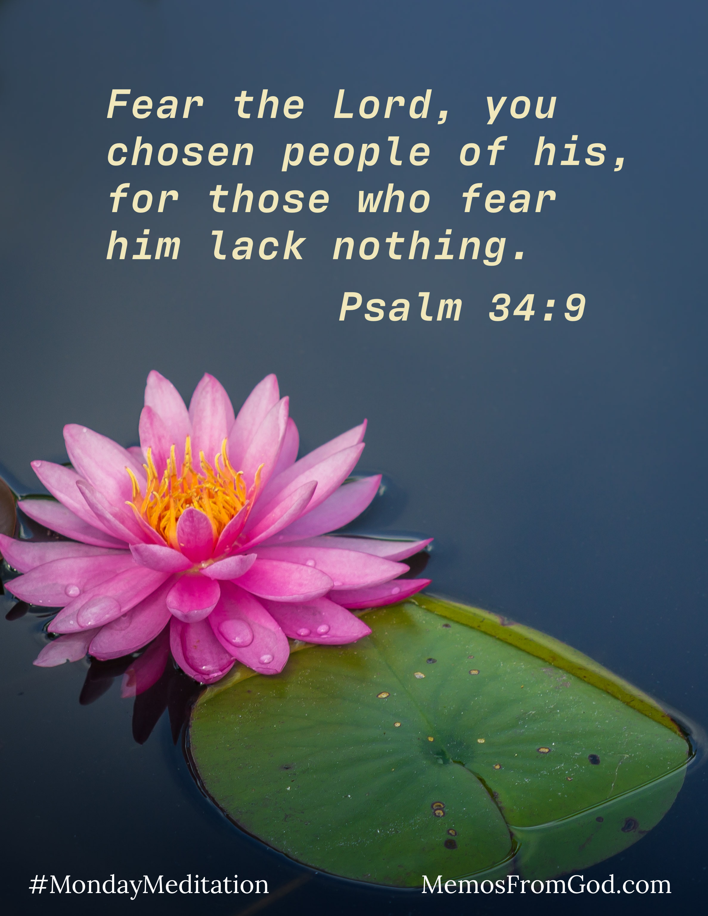 A deep pink water lily with a single large green leaf in a dark blue pond. Caption: Fear the Lord, you chosen people of his, for those who fear him lack nothing. Psalm 34:9