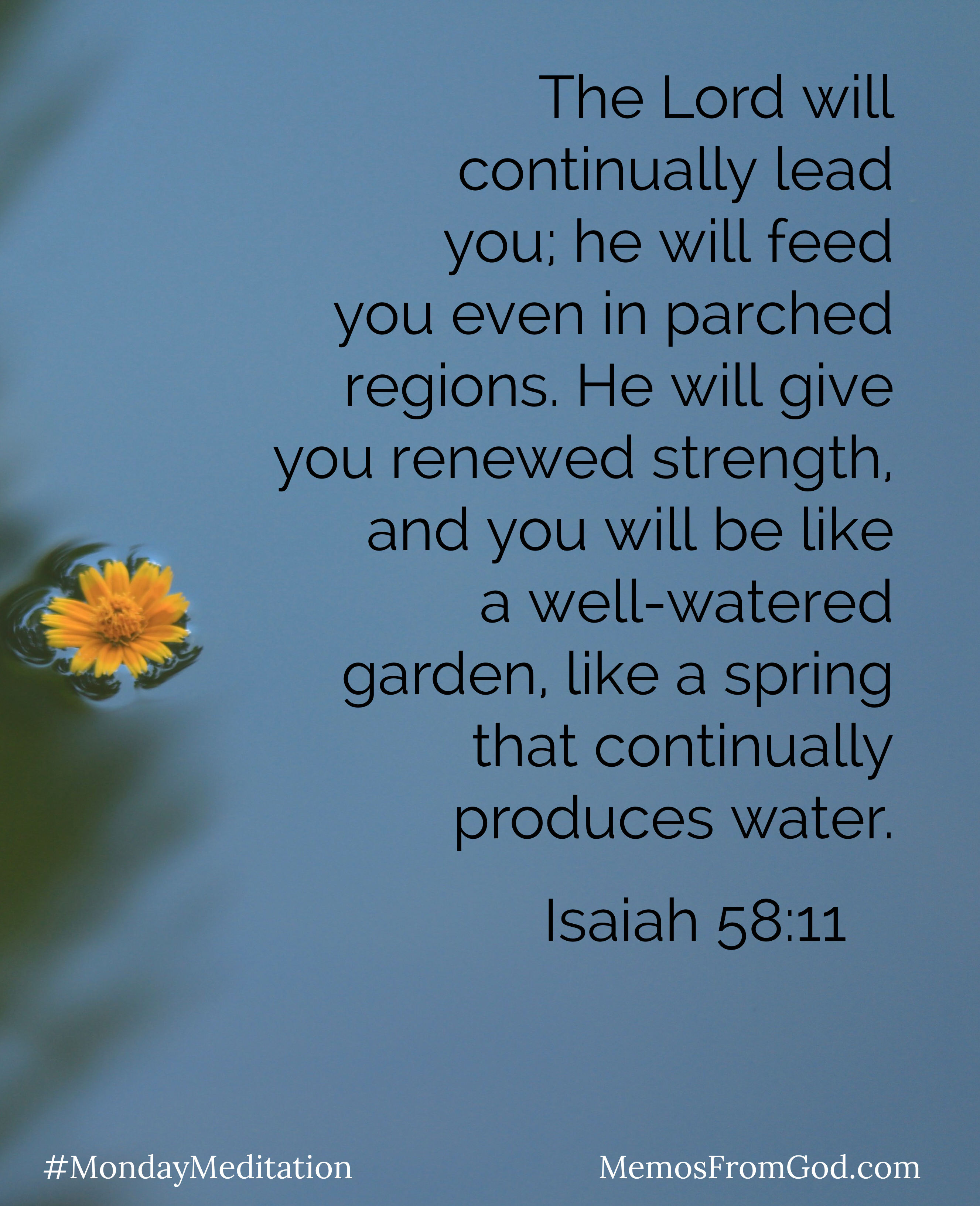 A small yellow flower floating in grey-blue water. Caption: The Lord will continually lead you; he will feed you even in parched regions. He will give you renewed strength, and you will be like a well-water garden, like a spring that continually produces water. Isaiah 58:11