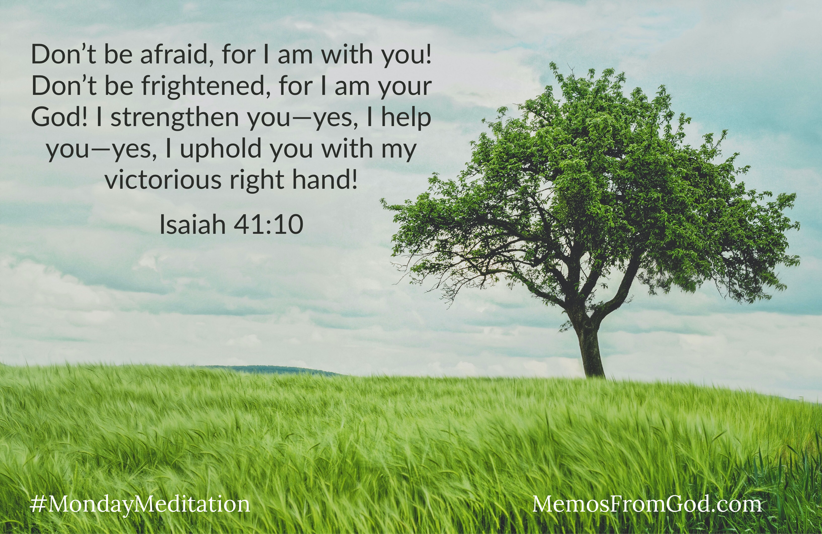 A single tree with green leaves, in a green, grassy field under a cloudy sky. Caption: Don't be afraid, for I am with you! Don't be frightened, for I am your God! I strengthen you--yes, I help you--yes, I uphold you with my victorious right hand! Isaiah 41:10