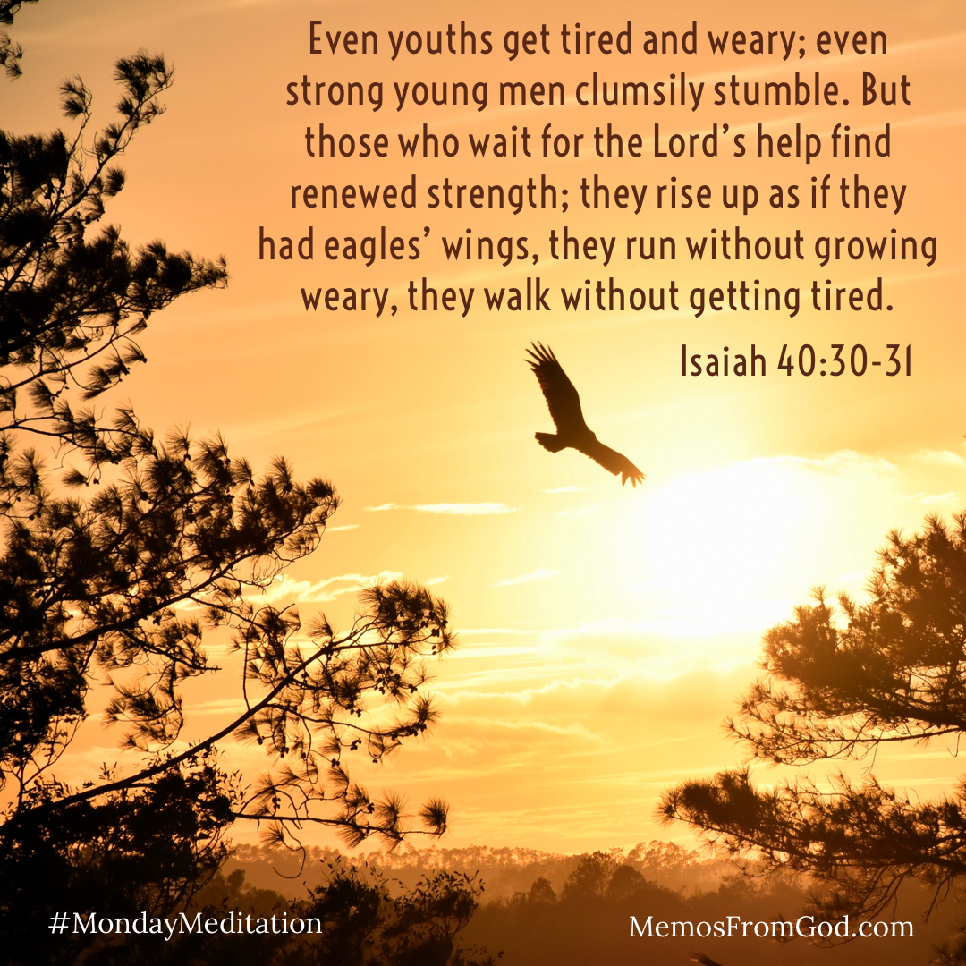 Trees and a soaring eagle silhouetted against a golden sky. Caption: Even youths get tired and weary; even strong men clumsily stumble. But those who wait for the Lord's help will find renewed strength; they rise up as if they had eagles' wings, they run without growing weary, they walk without getting tired. Isaiah 40:30-31