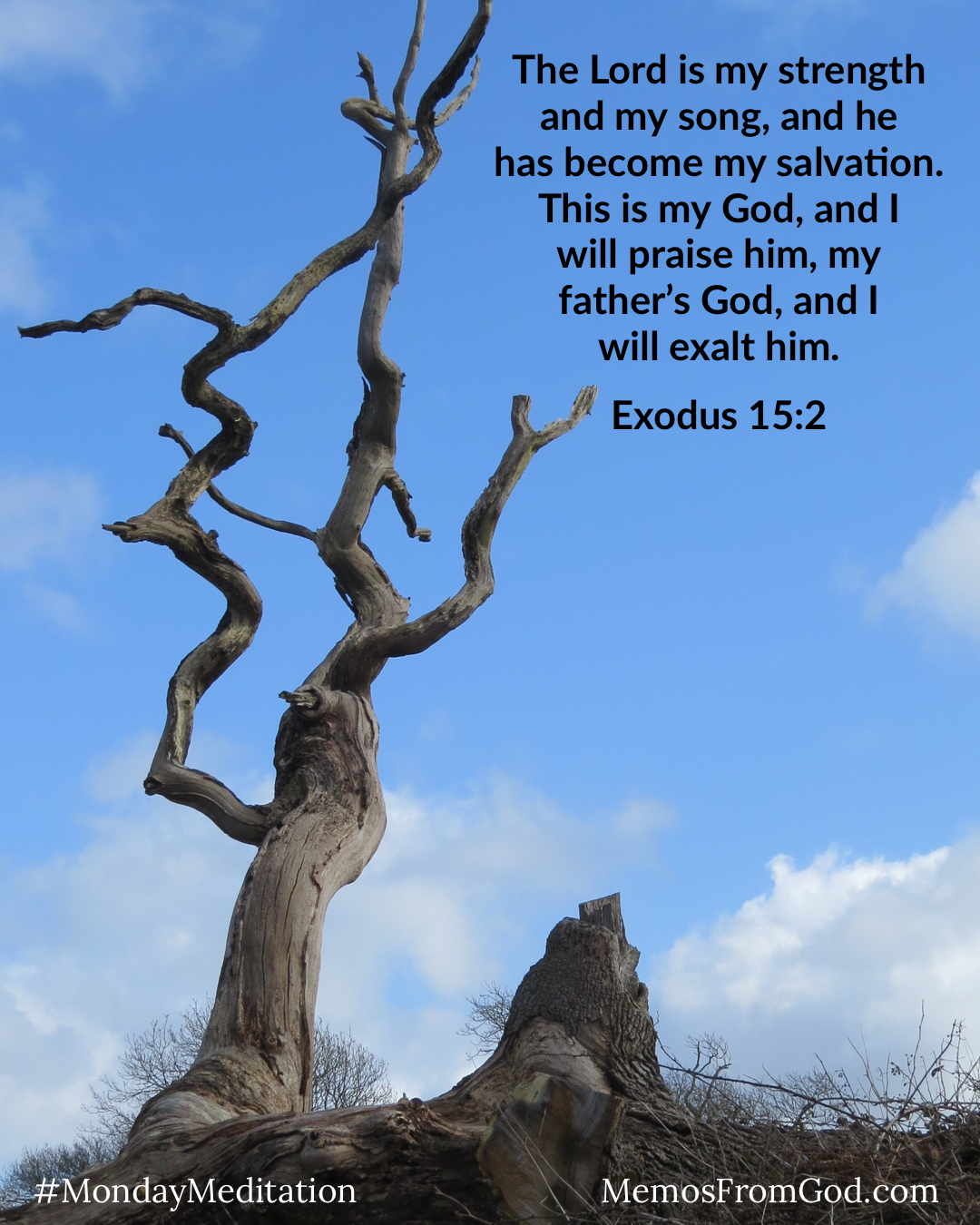 A tree with gnarled branches and no leaves. Caption: The Lord is my strength and my song, and he has become my salvation. This is my God, and I will praise him, my father's God, and I will exalt him. Exodus 15:2