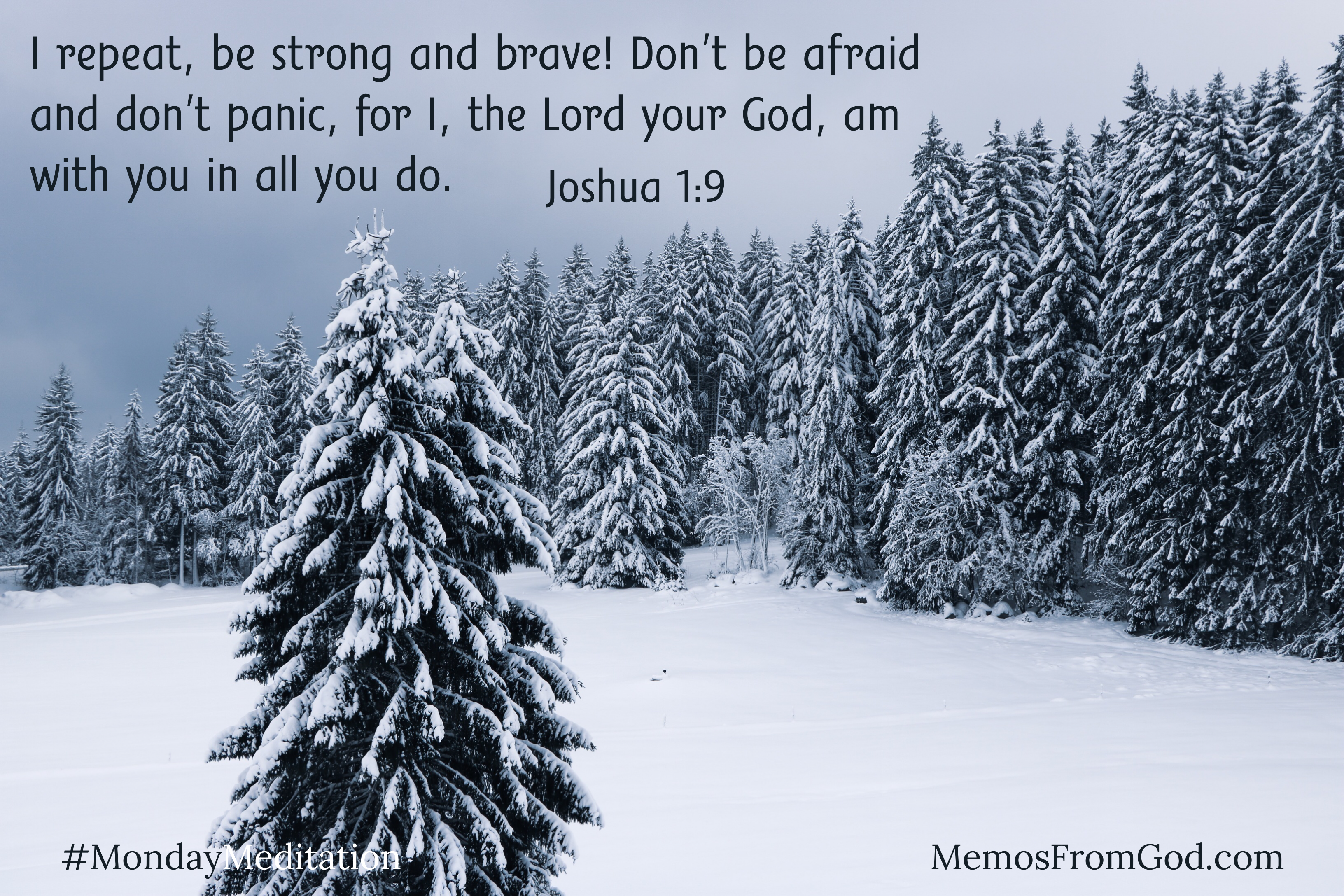 A single evergreen tree stands in the foreground with a forest of evergreens standing behind. There is snow on the ground and on all the boughs. Caption: I repeat, be strong and brave! Don't be afraid and don't panic, for I, the Lord your God, am with you in all you do. Joshua 1:9