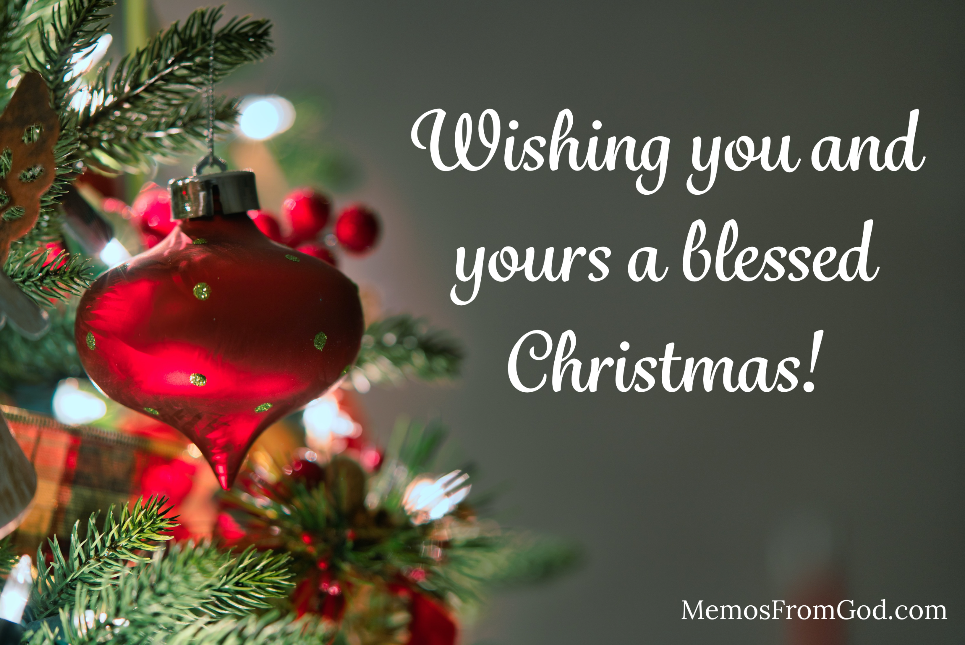 A red ornament hangs on the bough of a Christmas tree. Caption: Wishing you and yours a blessed Christmas!