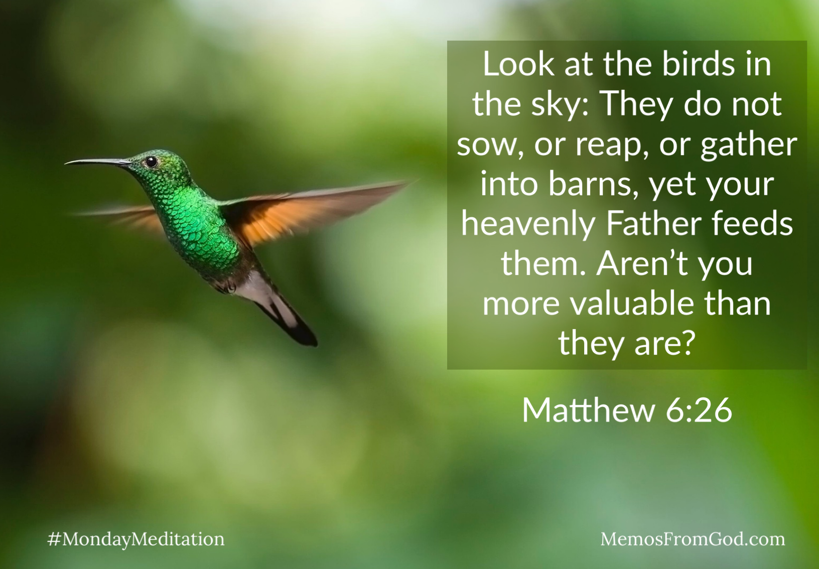 An emerald green hummingbird hovering in front of a bokeh green background. Caption: Look at the birds in the sky: They do not sow, or reap, or gather into barns, yet your heavenly Father feeds them. Aren't you more valuable than they are? Matthew 6:26